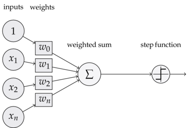 alt Perceptron